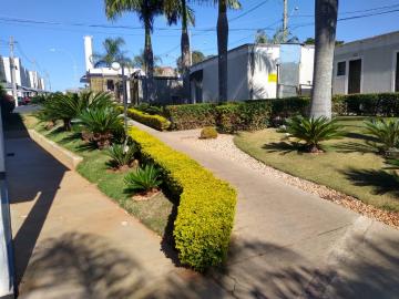 Comprar Apartamento / Padrão em Botucatu R$ 140.000,00 - Foto 17 Comprar Apartamento / Padrão em Botucatu R$ 140.000,00 - Foto 17