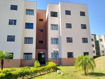 Alugar Apartamento / Padrão em Botucatu. apenas R$ 800,00