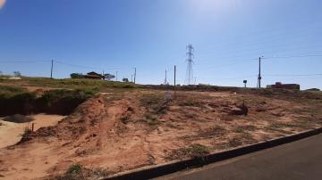 imagem 1 - Terreno - Padrão imagem 1 - Terreno - Padrão