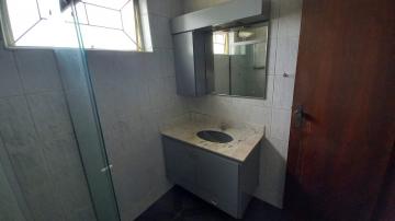 Alugar Apartamento / Padrão em Botucatu R$ 800,00 - Foto 13 Alugar Apartamento / Padrão em Botucatu R$ 800,00 - Foto 13