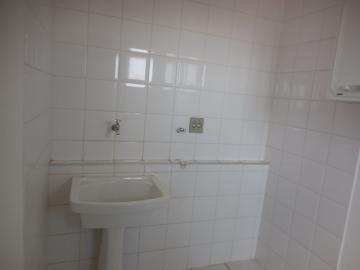 Alugar Apartamento / Padrão em Botucatu R$ 1.400,00 - Foto 20 Alugar Apartamento / Padrão em Botucatu R$ 1.400,00 - Foto 20