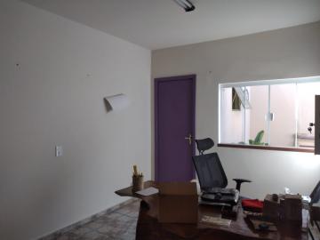 Alugar Comercial / Ponto Comercial em Botucatu R$ 2.000,00 - Foto 10 Alugar Comercial / Ponto Comercial em Botucatu R$ 2.000,00 - Foto 10