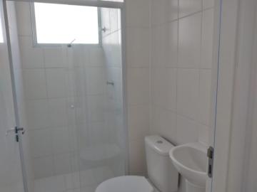 Alugar Apartamento / Padrão em Botucatu R$ 700,00 - Foto 9 Alugar Apartamento / Padrão em Botucatu R$ 700,00 - Foto 9