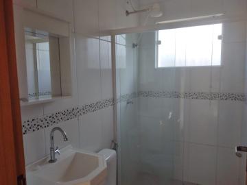 Alugar Apartamento / Padrão em Botucatu R$ 1.100,00 - Foto 11 Alugar Apartamento / Padrão em Botucatu R$ 1.100,00 - Foto 11