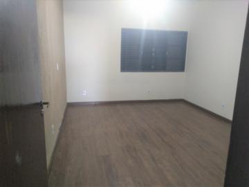 imagem 2 - Casa - Padrão imagem 2 - Casa - Padrão