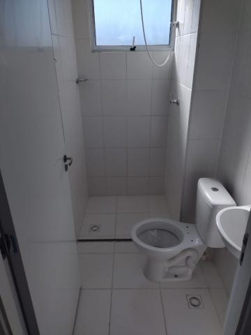 Alugar Apartamento / Padrão em Botucatu R$ 950,00 - Foto 7 Alugar Apartamento / Padrão em Botucatu R$ 950,00 - Foto 7