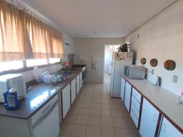 Alugar Apartamento / Mobiliado em Botucatu R$ 3.600,00 - Foto 5 Alugar Apartamento / Mobiliado em Botucatu R$ 3.600,00 - Foto 5