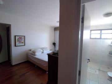 Alugar Apartamento / Mobiliado em Botucatu R$ 3.600,00 - Foto 12 Alugar Apartamento / Mobiliado em Botucatu R$ 3.600,00 - Foto 12