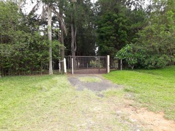 Comprar Rural / Chácara em Botucatu R$ 1.500.000,00 - Foto 1 Comprar Rural / Chácara em Botucatu R$ 1.500.000,00 - Foto 1