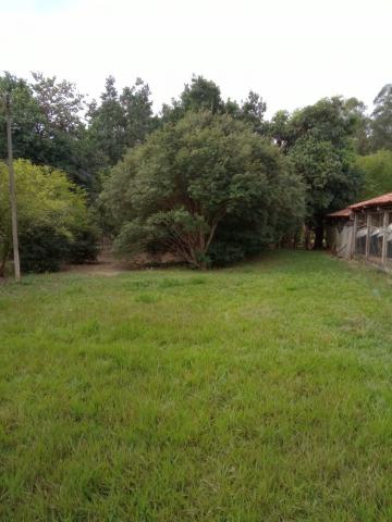 imagem 1 - Rural - Sítio imagem 1 - Rural - Sítio