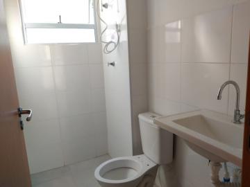 Alugar Apartamento / Padrão em Botucatu R$ 850,00 - Foto 8 Alugar Apartamento / Padrão em Botucatu R$ 850,00 - Foto 8