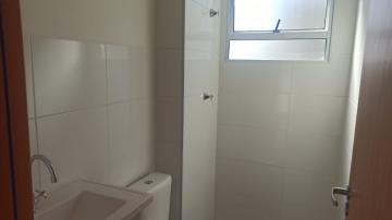 Alugar Apartamento / Padrão em Botucatu R$ 900,00 - Foto 11 Alugar Apartamento / Padrão em Botucatu R$ 900,00 - Foto 11