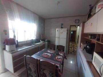 Alugar Casa / Padrão em Botucatu R$ 1.300,00 - Foto 5 Alugar Casa / Padrão em Botucatu R$ 1.300,00 - Foto 5