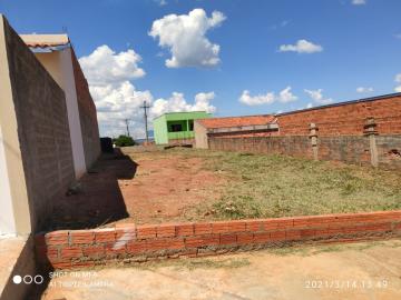 Alugar Terreno / Padrão em Botucatu. apenas R$ 140.000,00