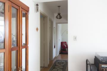 imagem 3 - Apartamento - Padrão imagem 3 - Apartamento - Padrão