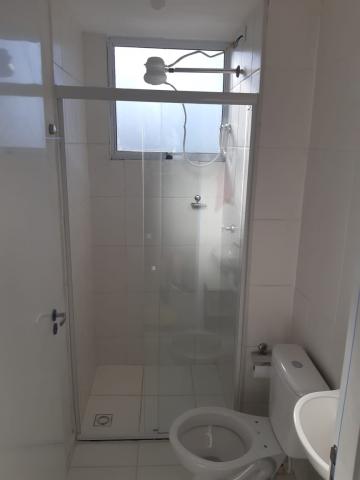 Alugar Apartamento / Padrão em Botucatu R$ 1.000,00 - Foto 7 Alugar Apartamento / Padrão em Botucatu R$ 1.000,00 - Foto 7