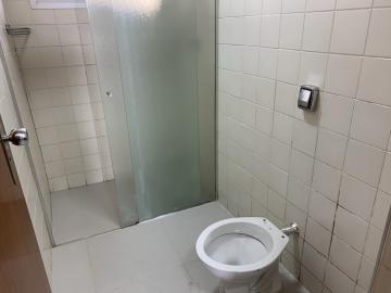 Alugar Apartamento / Padrão em Botucatu R$ 1.400,00 - Foto 19 Alugar Apartamento / Padrão em Botucatu R$ 1.400,00 - Foto 19