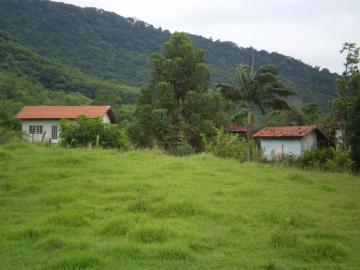 Comprar Rural / Sítio em Botucatu R$ 2.200.000,00 - Foto 4 Comprar Rural / Sítio em Botucatu R$ 2.200.000,00 - Foto 4