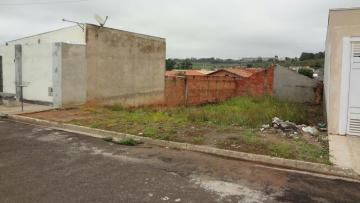 Comprar Terreno / Padrão em Botucatu R$ 70.000,00 - Foto 1 Comprar Terreno / Padrão em Botucatu R$ 70.000,00 - Foto 1