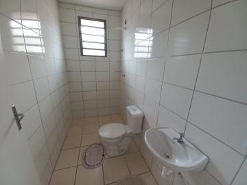 Alugar Casa / Padrão em Botucatu R$ 750,00 - Foto 7 Alugar Casa / Padrão em Botucatu R$ 750,00 - Foto 7