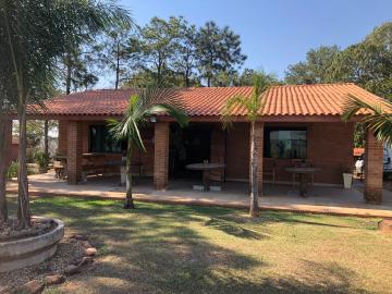 Alugar Comercial / Ponto Comercial em Botucatu R$ 5.000,00 - Foto 3 Alugar Comercial / Ponto Comercial em Botucatu R$ 5.000,00 - Foto 3