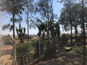 Alugar Comercial / Ponto Comercial em Botucatu R$ 5.000,00 - Foto 4 Alugar Comercial / Ponto Comercial em Botucatu R$ 5.000,00 - Foto 4