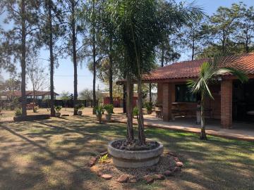 Alugar Comercial / Ponto Comercial em Botucatu R$ 5.000,00 - Foto 5 Alugar Comercial / Ponto Comercial em Botucatu R$ 5.000,00 - Foto 5