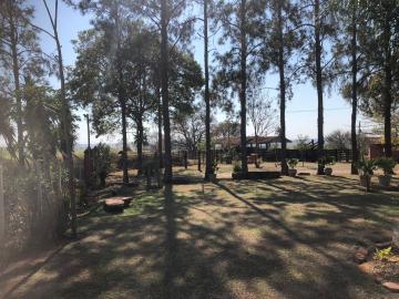 Alugar Comercial / Ponto Comercial em Botucatu R$ 5.000,00 - Foto 6 Alugar Comercial / Ponto Comercial em Botucatu R$ 5.000,00 - Foto 6