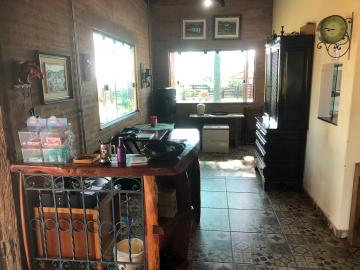 Alugar Comercial / Ponto Comercial em Botucatu R$ 5.000,00 - Foto 16 Alugar Comercial / Ponto Comercial em Botucatu R$ 5.000,00 - Foto 16