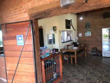 Alugar Comercial / Ponto Comercial em Botucatu R$ 5.000,00 - Foto 19 Alugar Comercial / Ponto Comercial em Botucatu R$ 5.000,00 - Foto 19