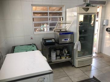 Alugar Comercial / Ponto Comercial em Botucatu R$ 5.000,00 - Foto 23 Alugar Comercial / Ponto Comercial em Botucatu R$ 5.000,00 - Foto 23