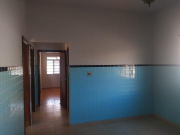 imagem 4 - Casa - Padrão imagem 4 - Casa - Padrão
