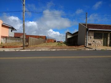 imagem 1 - Terreno - Padrão imagem 1 - Terreno - Padrão