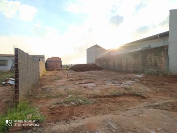 imagem 2 - Terreno - Padrão imagem 2 - Terreno - Padrão