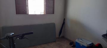 imagem 5 - Casa - Padrão imagem 5 - Casa - Padrão