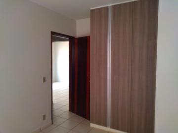 Alugar Apartamento / Padrão em Botucatu R$ 800,00 - Foto 7 Alugar Apartamento / Padrão em Botucatu R$ 800,00 - Foto 7
