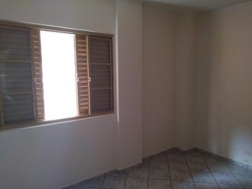 Alugar Apartamento / Padrão em Botucatu R$ 800,00 - Foto 9 Alugar Apartamento / Padrão em Botucatu R$ 800,00 - Foto 9