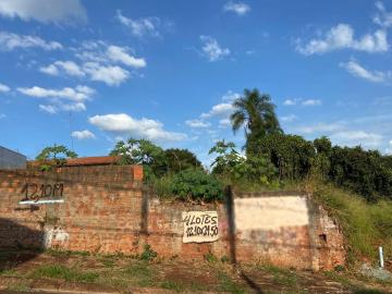 imagem 1 - Terreno - Padrão imagem 1 - Terreno - Padrão