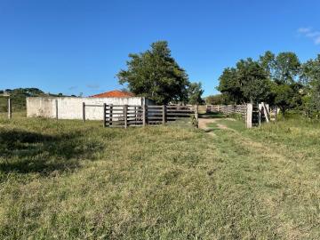 imagem 2 - Rural - Fazenda imagem 2 - Rural - Fazenda