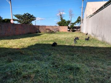 imagem 2 - Terreno - Padrão imagem 2 - Terreno - Padrão