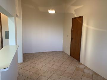 imagem 4 - Apartamento - Padrão imagem 4 - Apartamento - Padrão