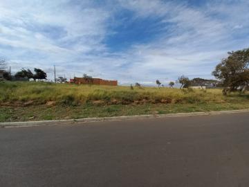 imagem 1 - Terreno - Padrão imagem 1 - Terreno - Padrão