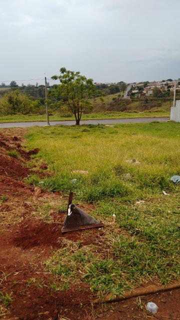 imagem 1 - Terreno - Padrão imagem 1 - Terreno - Padrão