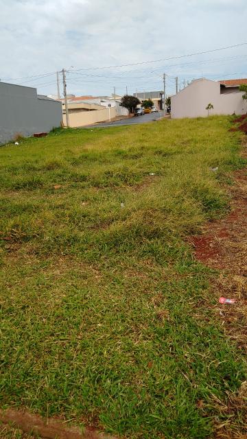 imagem 2 - Terreno - Padrão imagem 2 - Terreno - Padrão