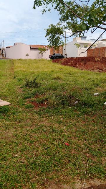imagem 4 - Terreno - Padrão imagem 4 - Terreno - Padrão