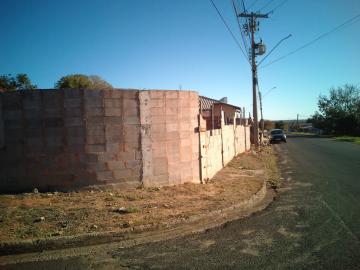 Alugar Terreno / Padrão em Botucatu. apenas R$ 200.000,00