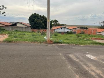 Alugar Terreno / Padrão em Botucatu. apenas R$ 75.000,00