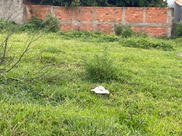 imagem 4 - Terreno - Padrão imagem 4 - Terreno - Padrão