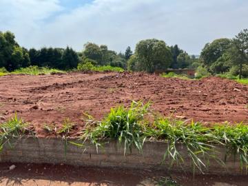 Alugar Terreno / Padrão em Botucatu. apenas R$ 360.000,00