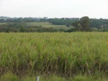 imagem 1 - Rural - Sítio imagem 1 - Rural - Sítio